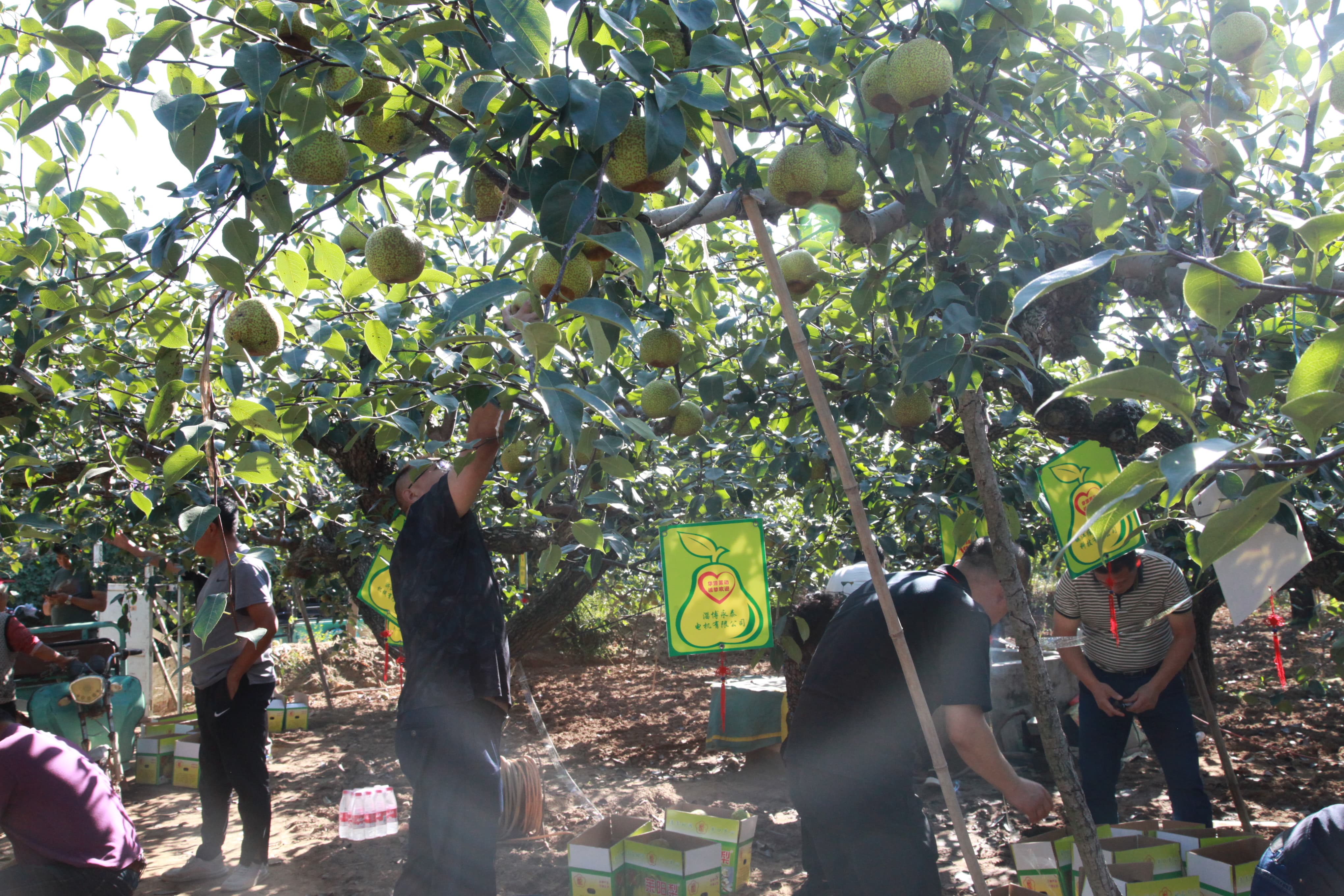 ������ʱ - �������ǲ�!